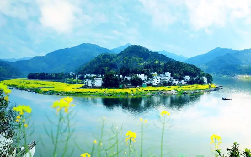 节能电子绿色